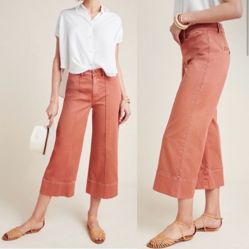 Anthropologie Chino - Rust